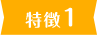 特徴1